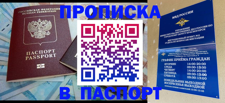 найти адрес прописки в Амурской области